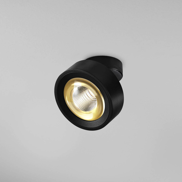  Egger Licht Egg Dls Spot Led Clippo Optic, Czarny/złoty, ø 12 Cm, Dtw 