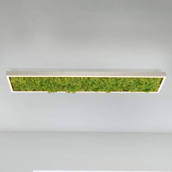  Just Light. Gmbh Lampa Sufitowa Led Green Knut Z Prawdziwym Mchem 