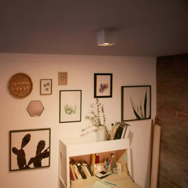  Philips Philips Myliving Box Spot Led 1-punktowy Biały 