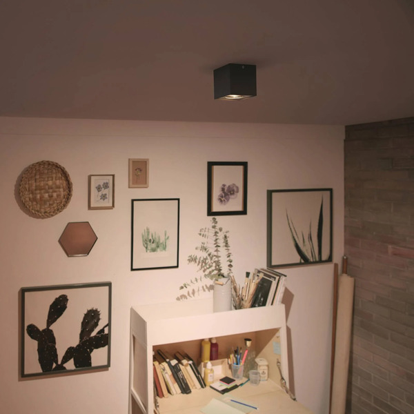  Philips Philips Myliving Box Spot Led1-punktowy Czarny 