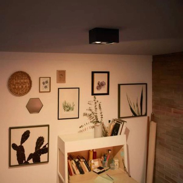  Philips Philips Myliving Box Spot Led 2-punktowy Czarny 