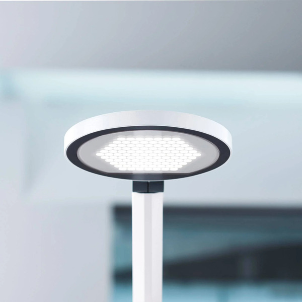  Waldmann Lampa Stołowa Led Para.mi Ftl 102 R Biały 930 