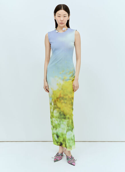  Acne Studios Acne Studios Blurred Print Maxi Dress - Frau Kleider Multicolour Xs 
