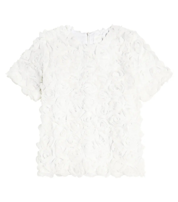  Caroline Bosmans Caroline Bosmans Floral-appliquã© Tulle Top 