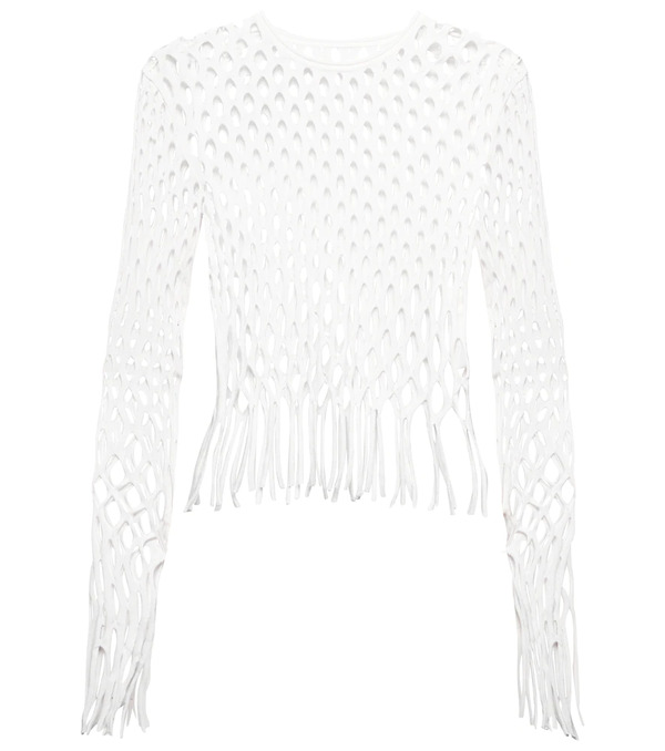  Dion Lee Dion Lee Fringed Fishnet Top 