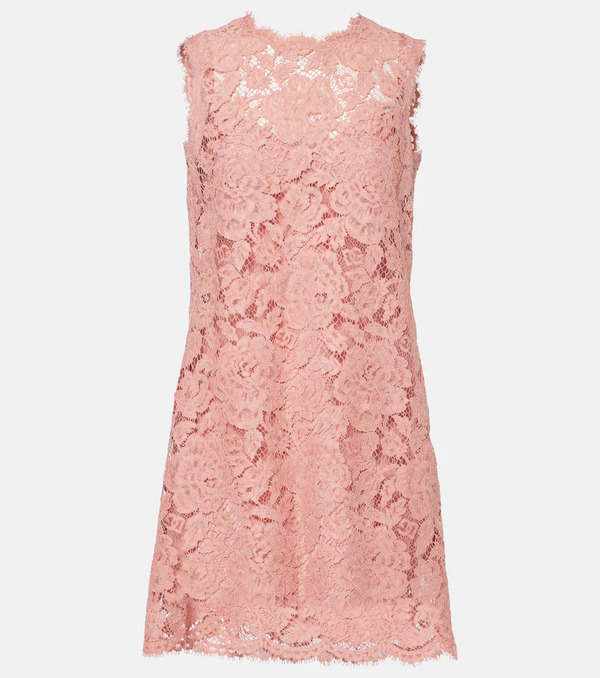  Dolce&gabbana Dolce&gabbana Dg Lace Minidress 