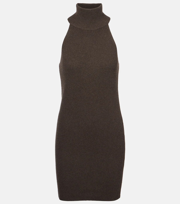  Lisa Yang Lisa Yang Lisa Cashmere Turtleneck Minidress 