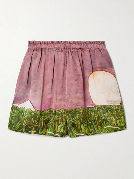  Donde Esteban Donde Esteban - La Sierra Printed Silk-satin Shorts - Multi 