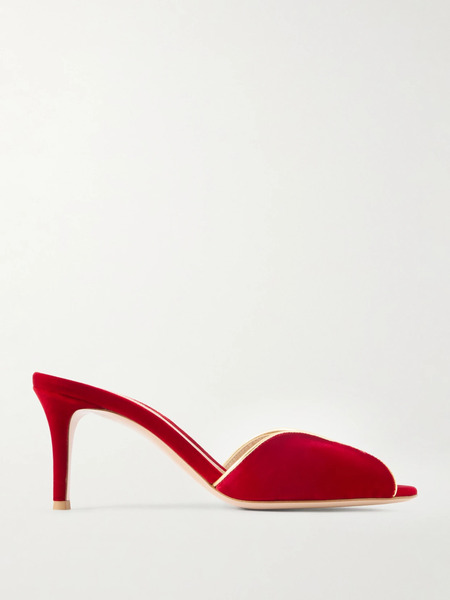  Gianvito Rossi Gianvito Rossi - 70 Leather-trimmed Velvet Mules - Red 
