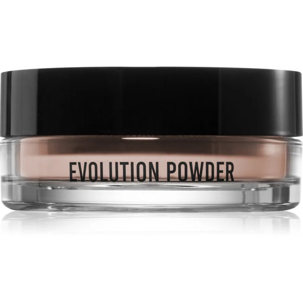  Danessa Myricks Beauty Evolution Powder Puder Sypki Odcień 2 - Translucent Beige 11 G 