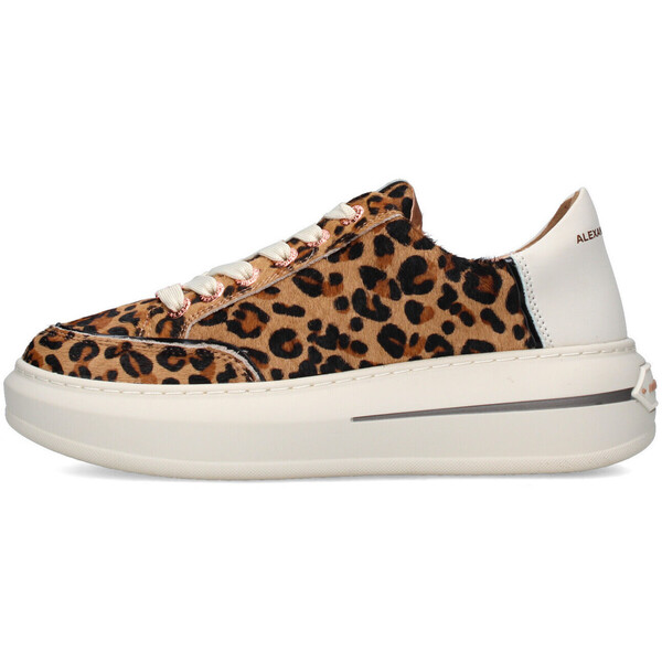  Alexander Smith  Buty Alexander Smith  Asbclsw-1856-csf  