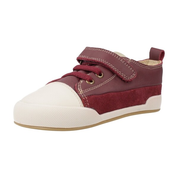  Blanditos  Buty Dziecko Blanditos  Galeonbd  
