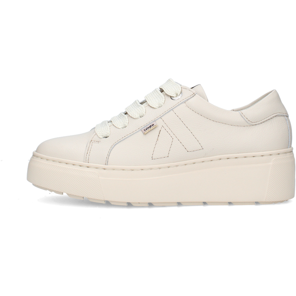  Callaghan  Buty Callaghan  36700  
