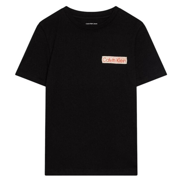  Calvin Klein Jeans  T-shirty Z Krótkim Rękawem Dziecko Calvin Klein Jeans  Ib0ib02451beh  