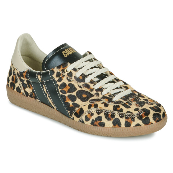  Caval  Buty Caval  Leo Obsession  