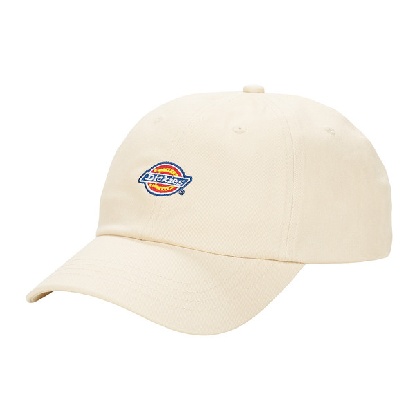  Dickies  Czapki Z Daszkiem Dickies  Hardwick Whitecap Gray  
