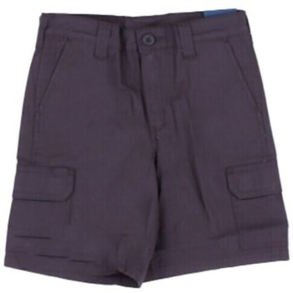  Dickies  Szorty I Bermudy Dziecko Dickies  Dk0a862z  