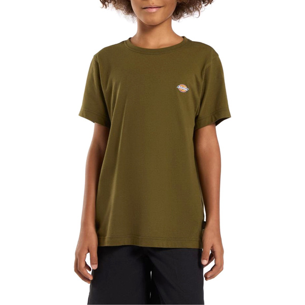  Dickies  T-shirty I Koszulki Polo Dziecko Dickies  -  