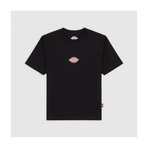  Dickies  T-shirty Z Krótkim Rękawem Dickies  Maple Valley Reg Tee  