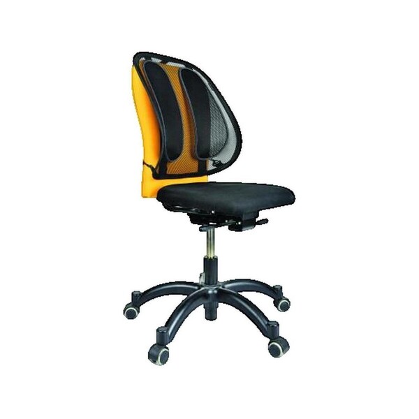  Fellowes  Biurka Fellowes  Support Dorsal  Ergonomique En Maille Respirante  