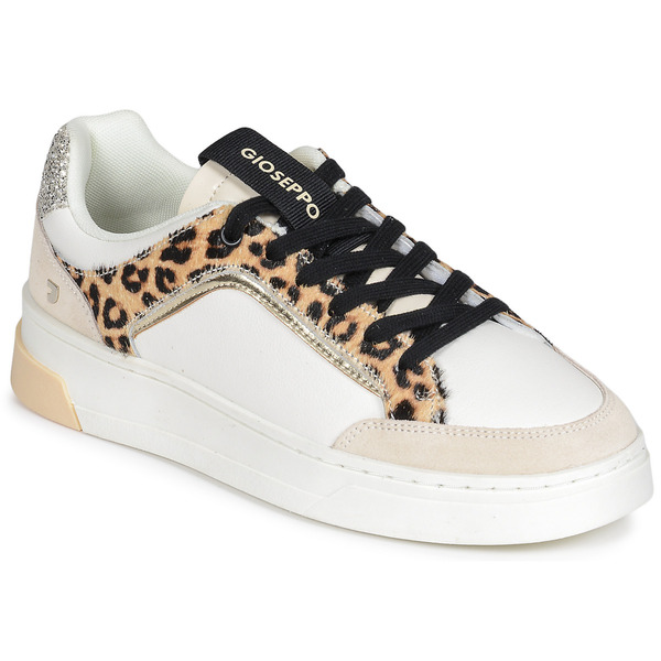  Gioseppo  Buty Gioseppo  Morrice  