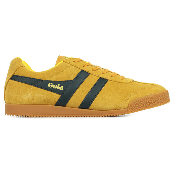  Gola  Trampki Gola  Harrier Suede  