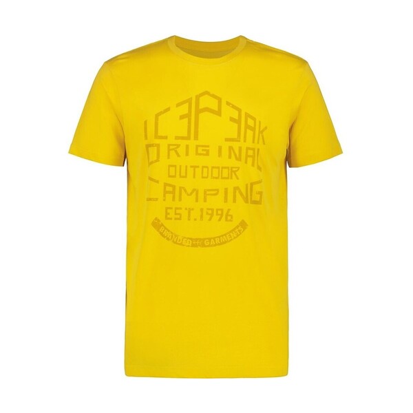  Icepeak  T-shirty Z Krótkim Rękawem Icepeak  Mosbach  