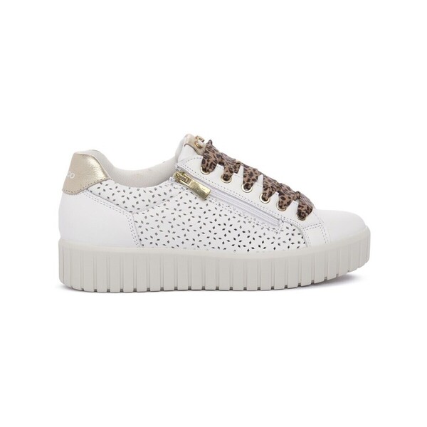  Igi&co  Buty Igi&co  1145700  