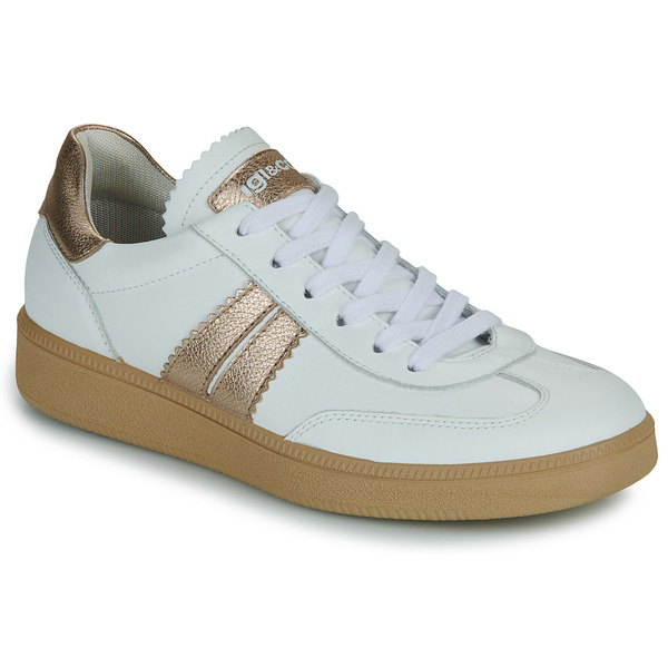  Igi&co  Buty Igi&co  D.atala  