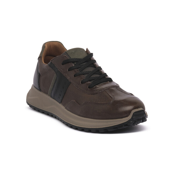  Igi&co  Buty Igi&co  Saronno Caffe  