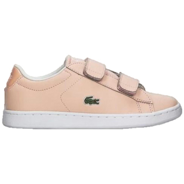  Lacoste  Trampki Dziecko Lacoste  Carnaby Evo Strap  