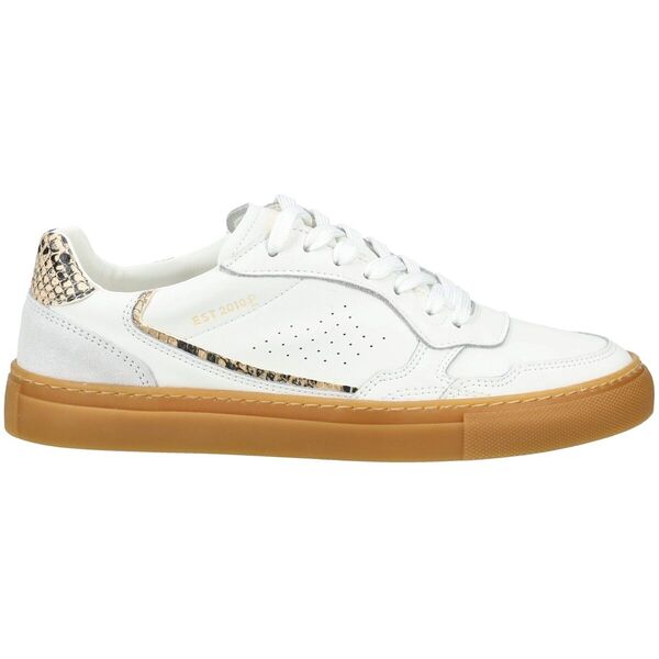  Pavement  Buty Pavement  Sneaker Cecilie  