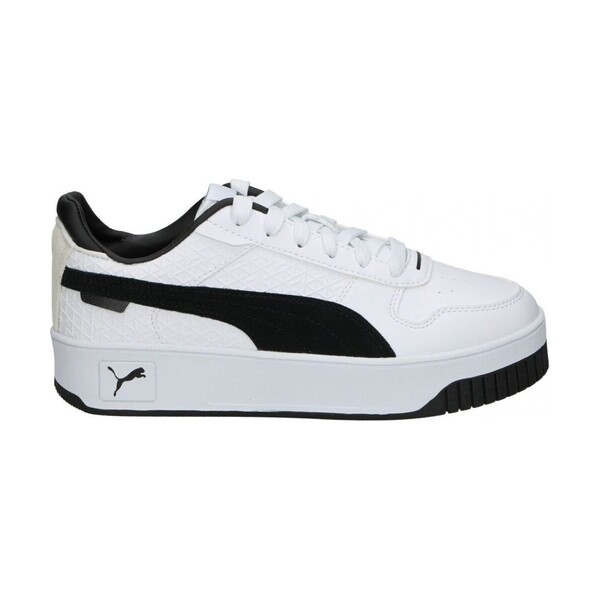  Puma  Buty Puma  102396  