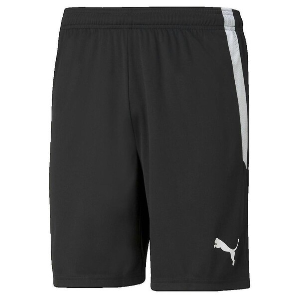  Puma  Szorty I Bermudy Puma  Teamliga  