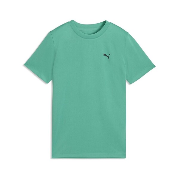  Puma  T-shirty Z Krótkim Rękawem Dziecko Puma  52653340  