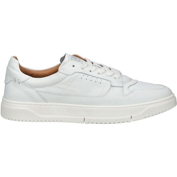  Steve Madden  Buty Steve Madden  Sneaker  