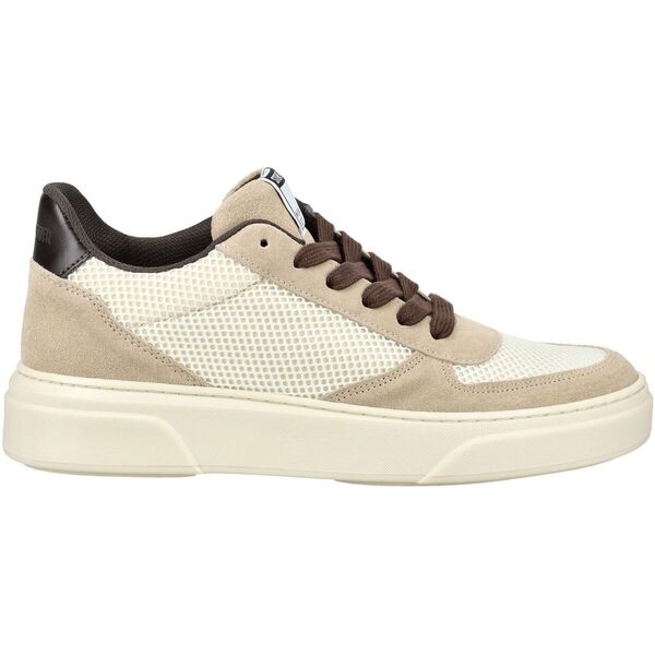  Steve Madden  Buty Steve Madden  Sneaker  