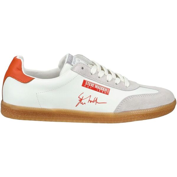  Steve Madden  Buty Steve Madden  Sneaker  