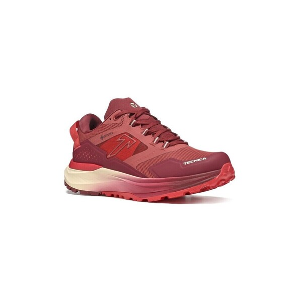  Tecnica  Buty Tecnica  Agate S Gtx  