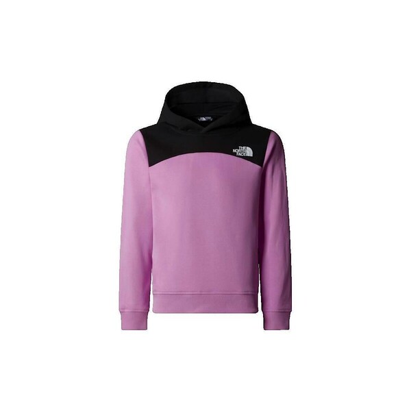  The North Face  Bluzy The North Face  Back Logo Relaxed P/o  