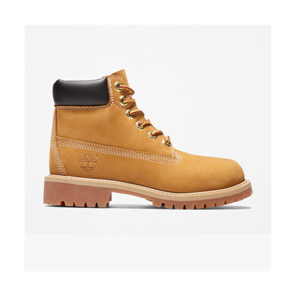  Timberland  Buty Dziecko Timberland  Premium 6 Inch Lace Up Waterproof Boot  