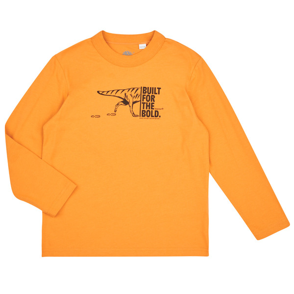  Timberland  T-shirty Z Długim Rękawem Dziecko Timberland  Tee-shirt Manches Longues T60301  