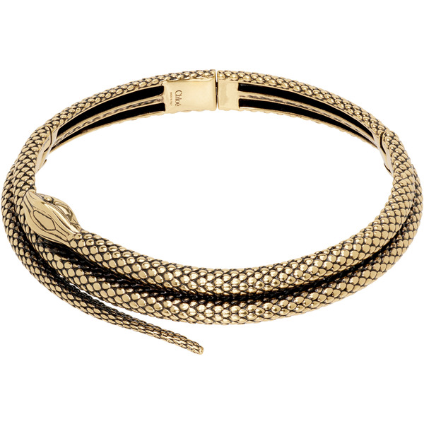  Chloé 'the Chloé Snake' Necklace 