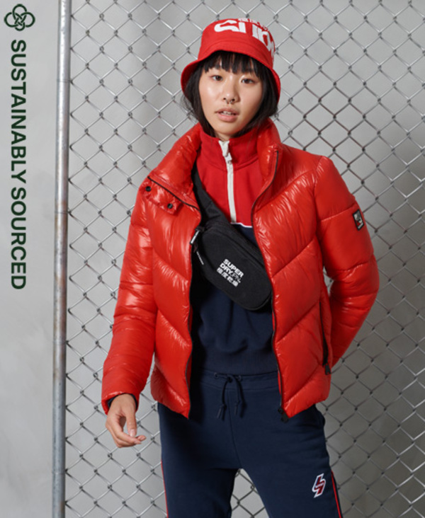  Superdry Brooklyn Padded Jacket 