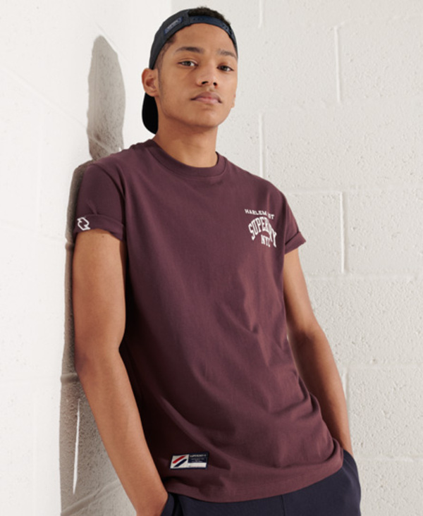  Superdry Varsity Arch Mini T-shirt 